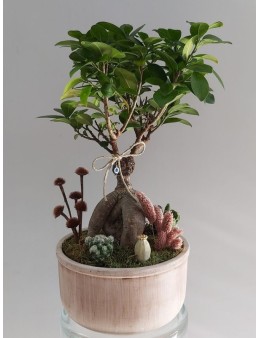 Decorative Bonsai Tree