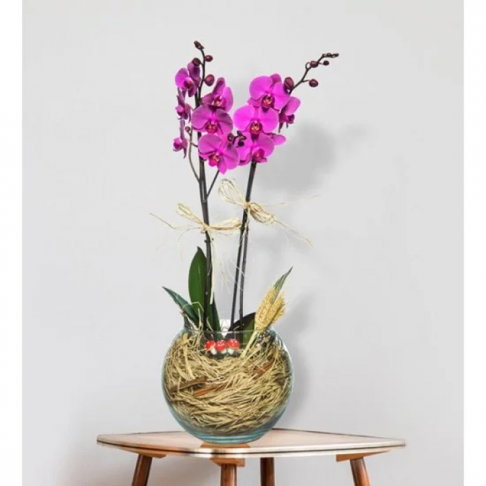 2 Branches of Purple Orchid Flowers in a Glass Jar